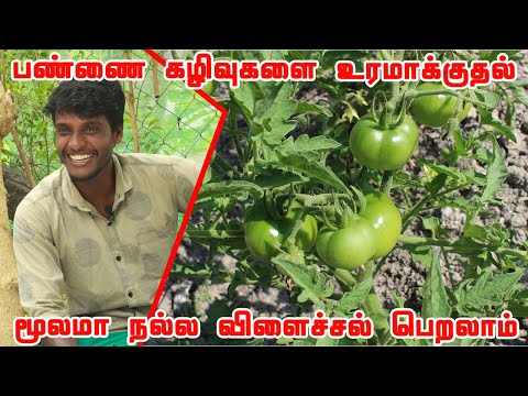 பண்ணைக் கழிவுகள்,மூடாக்கு முறைகள் பயிர் வளர்ச்சிக்கு பயன்படுமா? உழுது உண் சுந்தர் | Uzhudu Un Sundar