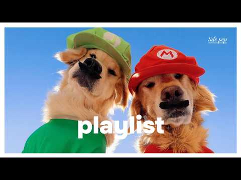 playlist | just put this on and it makes me feel good, seriously ๐ถโจsummer weekend emotional wash pop