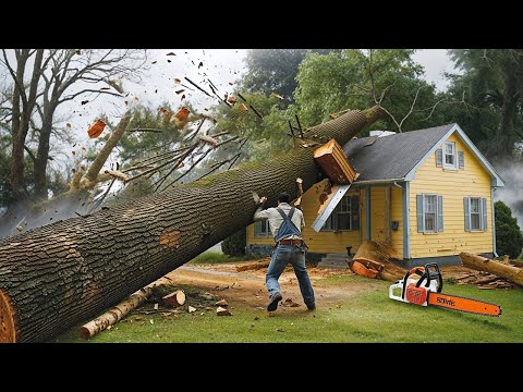 Dangerous Fastest Idiots Cutting Tree Fails Skill With Chainsaw | Tree Falling on Houses compilation