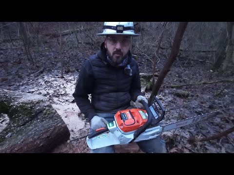 50 cm Hartholz - MSA 300 - Wie viele Schnitte schafft der Akku