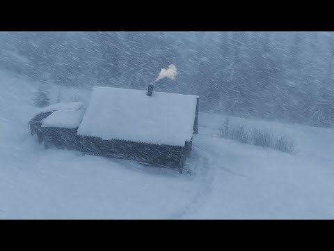 The BLIZZARD Hit Suddenly. Shelter in an ABANDONED Mountain Cabin!