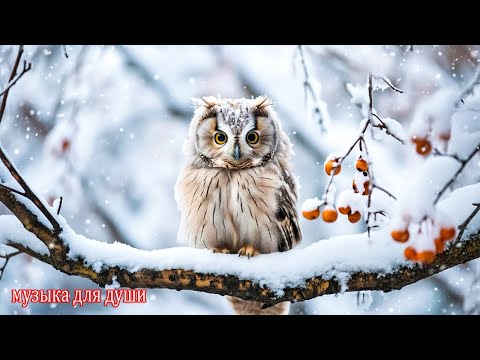 Самая красивая мелодия в мире! Падал снегснег! Красивая музыка для души #музыка #зима