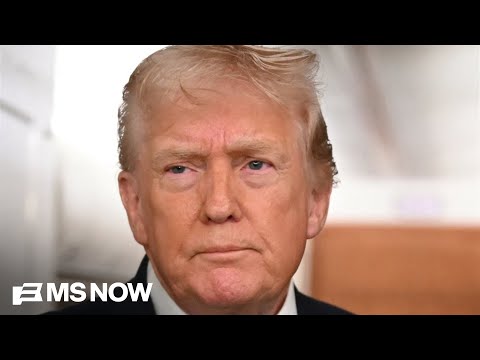 'The law held': Ari Melber breaks down Supreme Court's tariff ruling