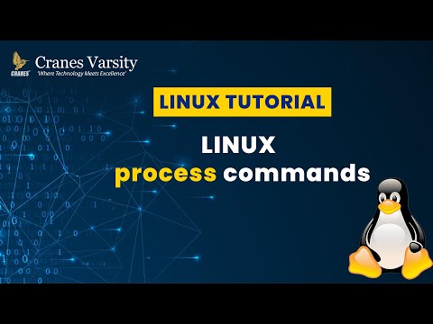 Linux Process Commands
