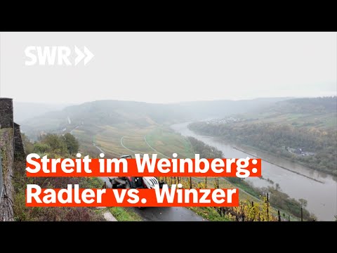 Radler gegen Winzer – Diskussion um den Moselhöhenradweg | Zur Sache Rheinland-Pfalz
