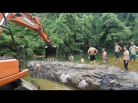 Shocked by the power of the excavator heavy take a 20-ton tree from a 15-meter deep stream bed