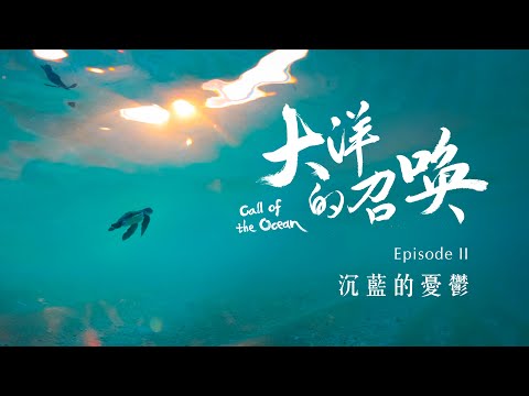 賀!《大洋的召喚》勇奪第57屆金鐘獎_二部曲 沉藍的憂鬱_4K《聚焦全世界》第53期|Call of the Ocean : Episode II Blue of the Deep Blue|舒夢蘭
