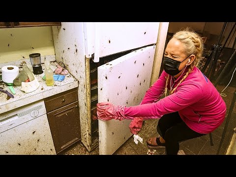 EXTREME COCKROACH CHAOS - You’ve Been Warned!!!