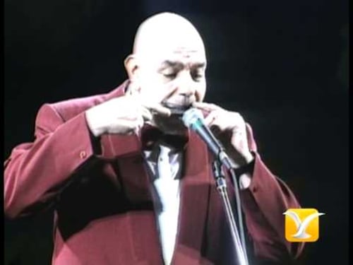 Sandy, Humor, Festival de Viña 1993