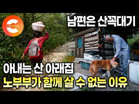딸 때문에 떨어져 살 수 밖에 없었다. 남편은 산 꼭대기, 아내는 산 아랫집🏡 아픈 딸을 보살피느라 함께 살 수 없는 오지마을 노부부가 따로 사는 방법ㅣ가래골 오작교ㅣ#한국기행