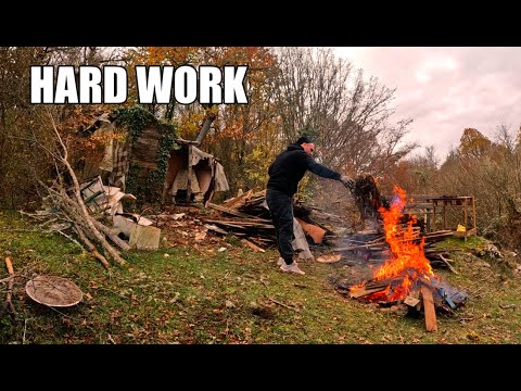 I’m Rebuilding a Destroyed Mountain Cabin (DAY 2) – Big Discovery Inside