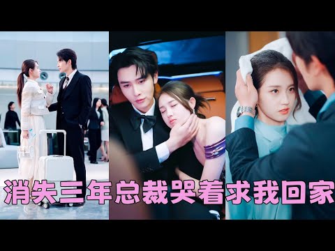 She accidentally slept with the CEO the day she quit her job, but he chased her into marriage