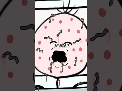 The Leeches 🩸 🐛