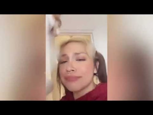 Tente não rir com esses animais mais engraçados