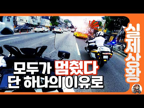우리는 누군가의 마지막 희망을 따라 달렸다