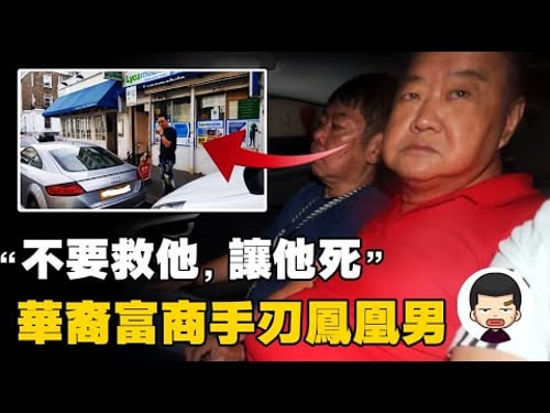 草根迎娶豪門千金逆襲人生,卻遭岳父當街刺殺,文达街事件丨英大吉