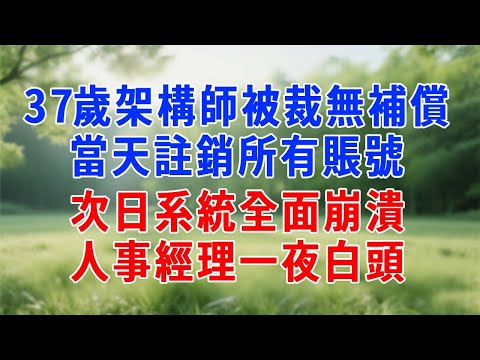 37歲架構師被裁無補償,當天註銷所有賬號,次日系統全面崩潰!人事經理一夜白頭。#人生感悟 #故事分享 #为人处世 #打脸 #职场