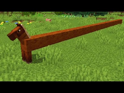 I made Minecraft's most cursed mod...