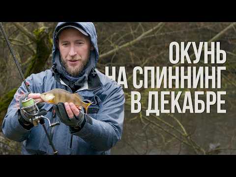 How to coax passive perch in December? Searching, mistakes, and effective lures. Spinning on the ...