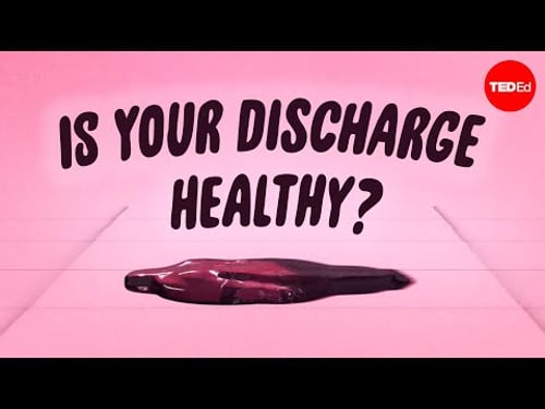What is vaginal discharge, and what does it say about your health? - Elizabeth Micks
