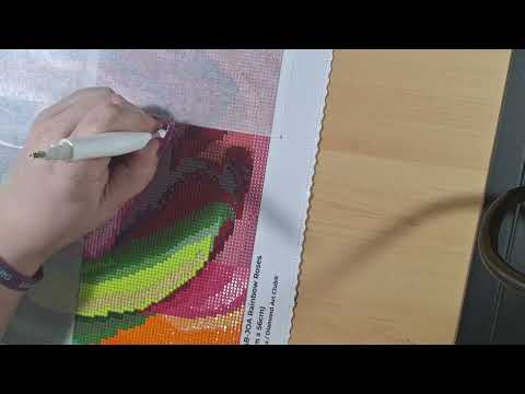 RAINBOW ROSES TIMELAPSE PT 2