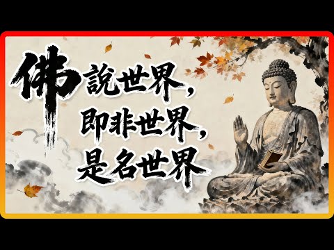 《金剛經》最燒腦的「三段論」,看懂它,你就擁有了佛的視角!#佛教 #佛法 #修行 #開悟