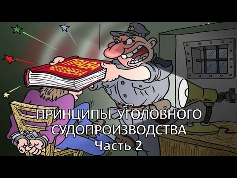 Россинский С.Б. Видео-лекция: «Принципы уголовного судопроизводства». Часть 2