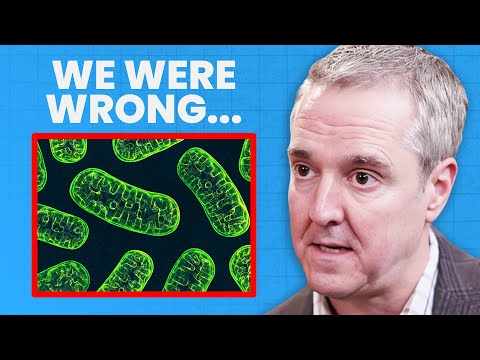 Mitochondria Aren’t Just the Powerhouses of the Cell | Dr. Chris Palmer