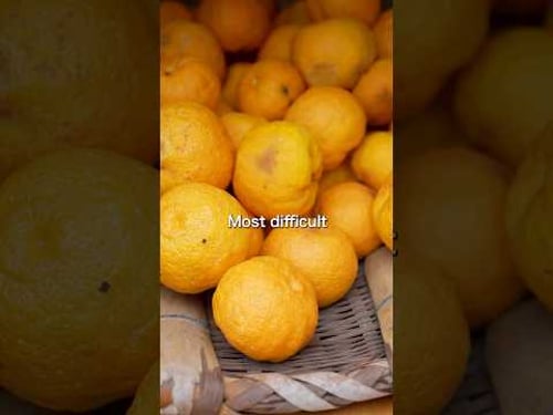 Rare Citrus From Japan | How to grow Yuzu with results | #Umamigarden #japan #japanesefood