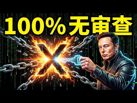 为什么你的Grok不能越狱?放弃网页版!API+本地客户端才是正解