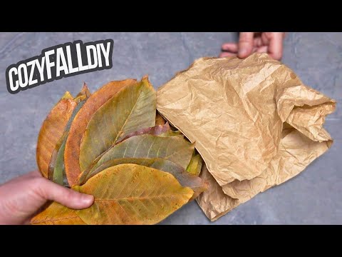 I took fallen leaves and a paper bag and created something fantastic! A cozy fall DIY for your home