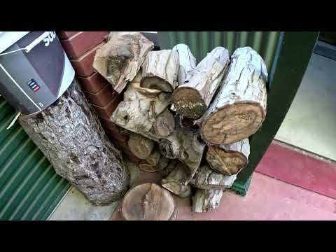 Practice makes perfect (or not)