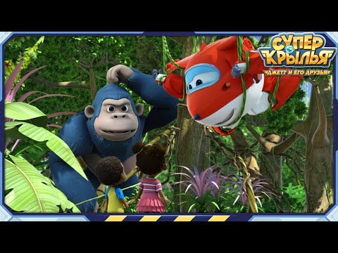 Суперкрылья | Best | Вот идут друзья-обезьяны! | Лучшая подборка серий