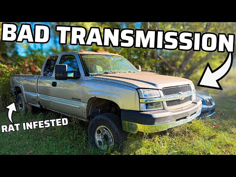 Reviving My FIRST Truck (Transmission Replacement) And MORE