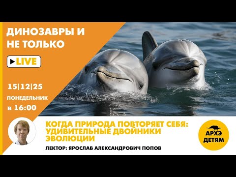 Занятие "Когда природа повторяет себя: удивительные двойники эволюции" с Ярославом Поповым