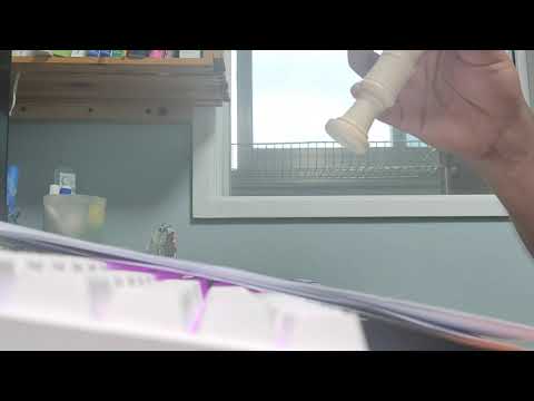 리코더로 붕괴3rd 죄의 천사 (罪の天使)