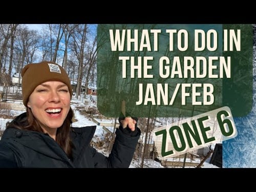 Garden Tasks for Winter: Zone 6