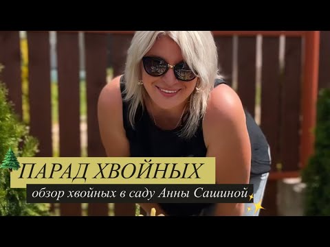ПАРАД ХВОЙНЫХ | Обзор хвойных в саду Анны Сашиной 🌲