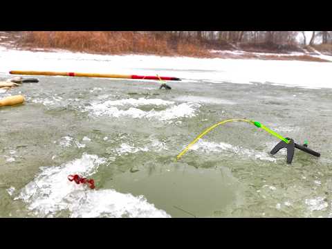 ПЕРВЫЙ ЛЁД - ЖОР КАРАСЯ!!! КЛЮЕТ СНОВА И СНОВА ЗИМНЯЯ РЫБАЛКА НА МОРМЫШКУ