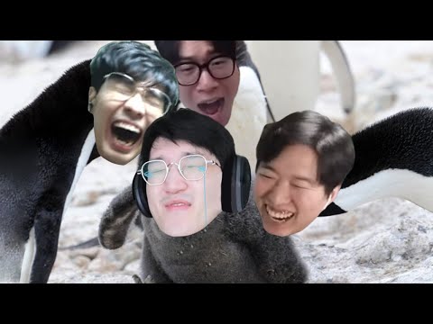 동생의 패배가 즐거운 형들