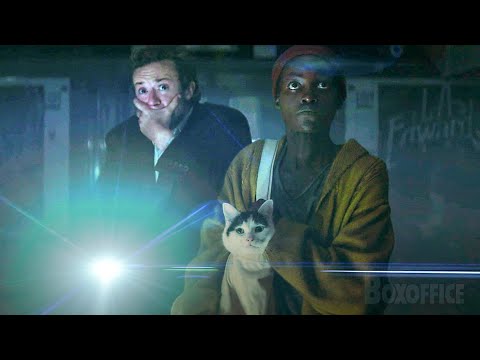 Frodo the Cat is the Real Star of A Quiet Place: Day One (Best Scenes) 🌀 4K