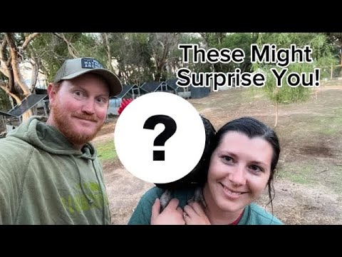 All Time TOP 5 Best Chicken Breeds!!