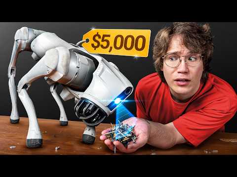 We Spent Too Much on INSANE Chinese Tech