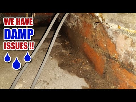 MAJOR damp problems and an update on that mystery pipe! (Renovation Part 17)