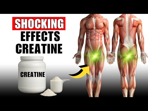 What Happens To Your Body When You Use Creatine