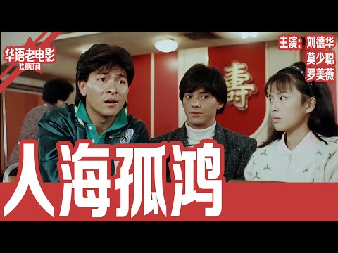 《人海孤鸿》刘德华×莫少聪×罗美薇|从难民到黑道兄弟,他一生都在还命运的债!吸毒、坐牢、拉皮条,这段兄弟情太沉重了! | 国产经典老电影 HD 国语彩色故事片 #华语老电影📽
