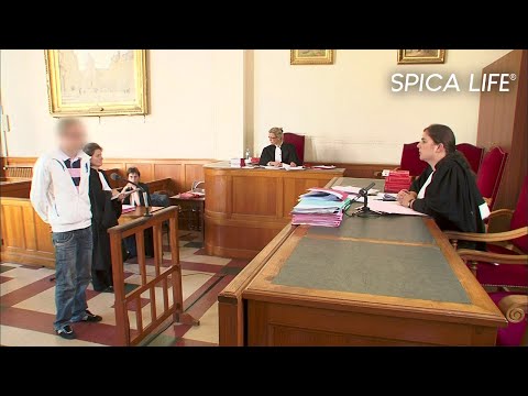 Délits de fuite : la justice les rattrapent