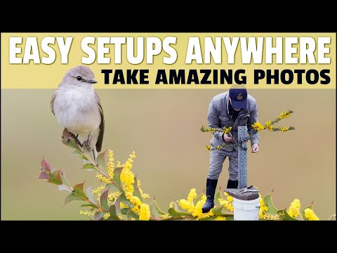 How to Build Setups to Take Fantastic Bird Photos - Step by Step Guide Showing Exactly How I Do It