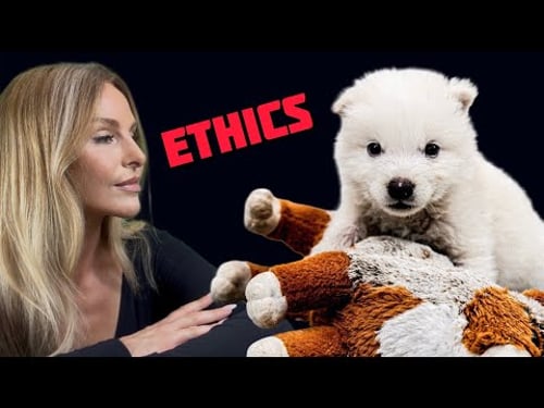 DIREWOLF ETHICS - WHERE ARE THE BIRTH MUMS? - Episode 2