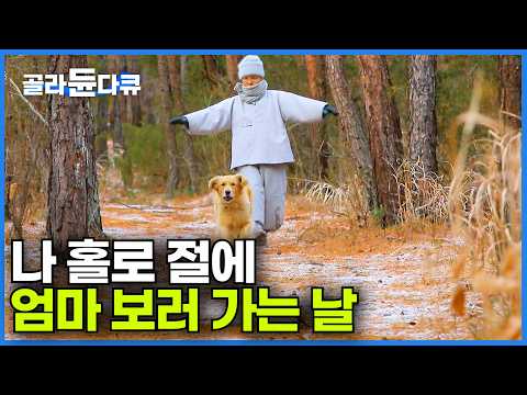 영화 리틀 포레스트가 생각나는 눈 내린 암자 속 스님의 하루ㅣ보기만 해도 힐링 되는 순수한 스님과 유일한 벗 보리의 이야기ㅣ한국기행│#골라듄다큐